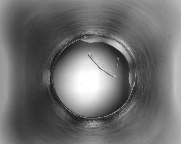 X0000096710445200802051425