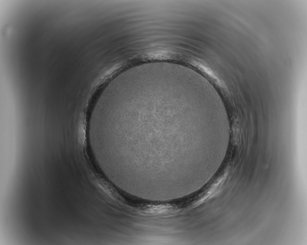 X0000096710446200802051425