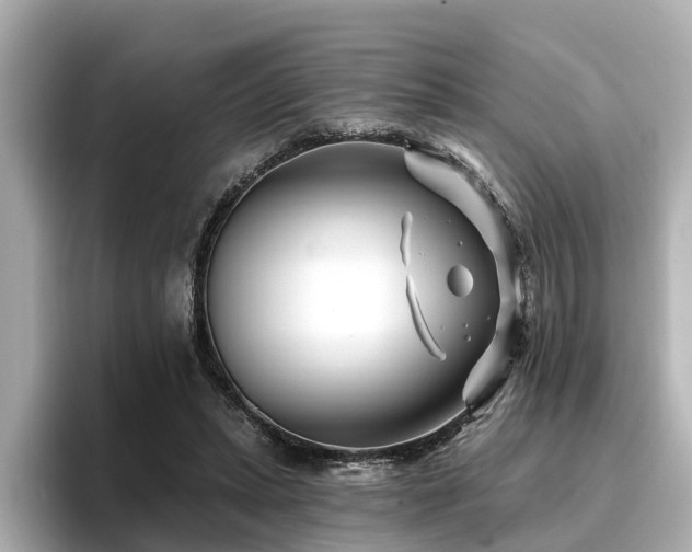 X0000096710447200802051425