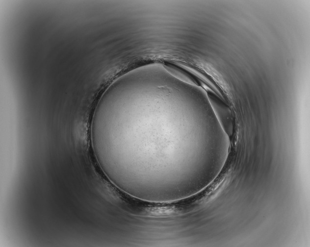 X0000096710449200802051425