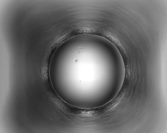 X0000096710450200802051425