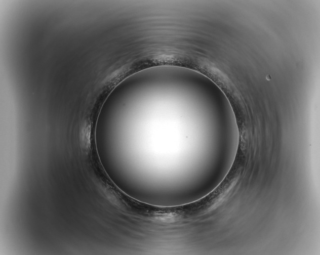 X0000096710454200802051425