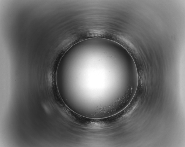 X0000096710455200802051425