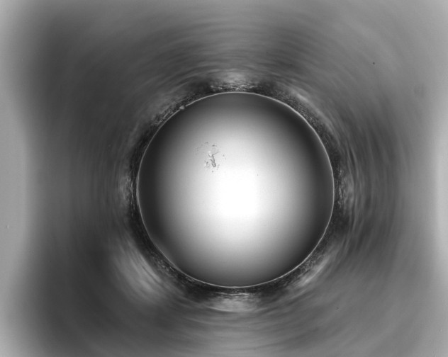 X0000096710459200802051425