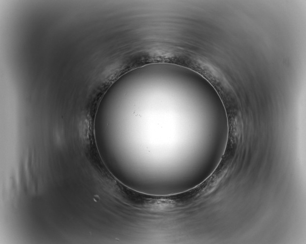 X0000096710463200802051425