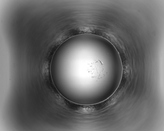 X0000096710466200802051425