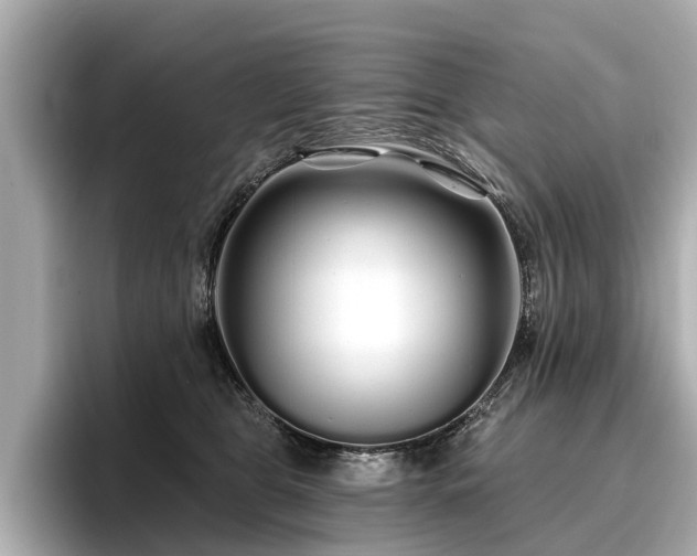 X0000096710469200802051425