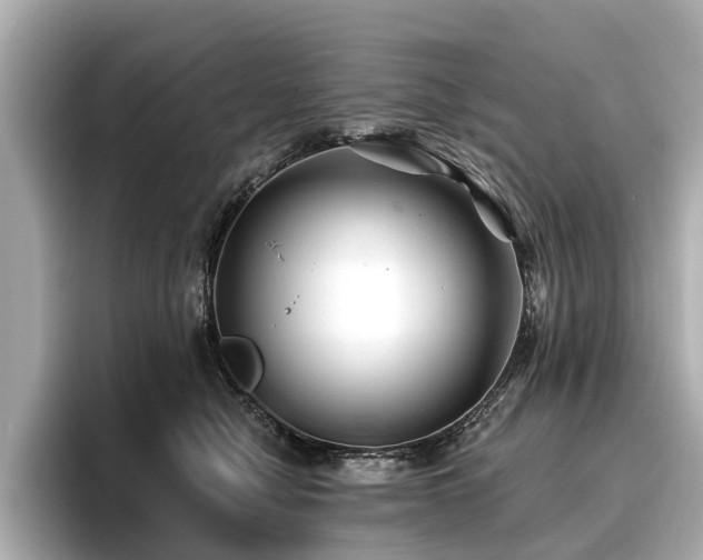 X0000096710470200802051425