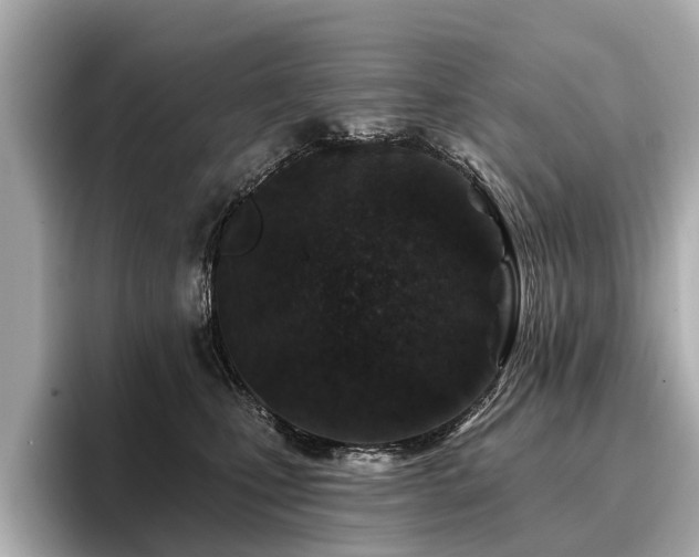 X0000096710471200802051425