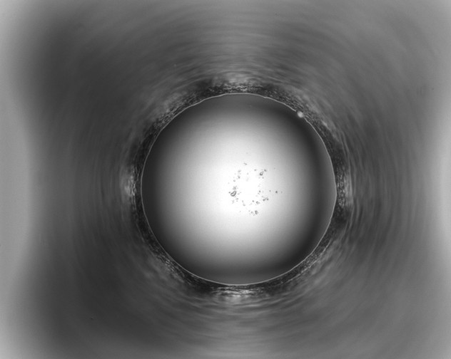 X0000096710472200802051425