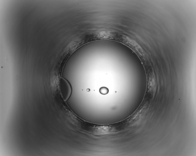 X0000096710473200802051425