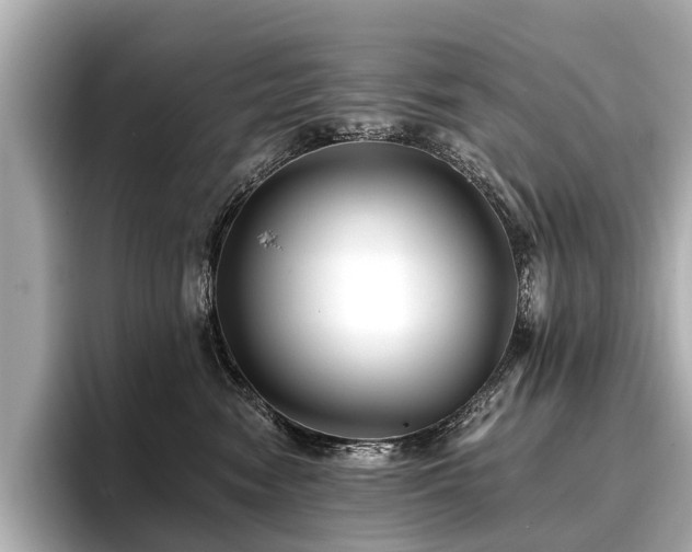 X0000096710474200802051425