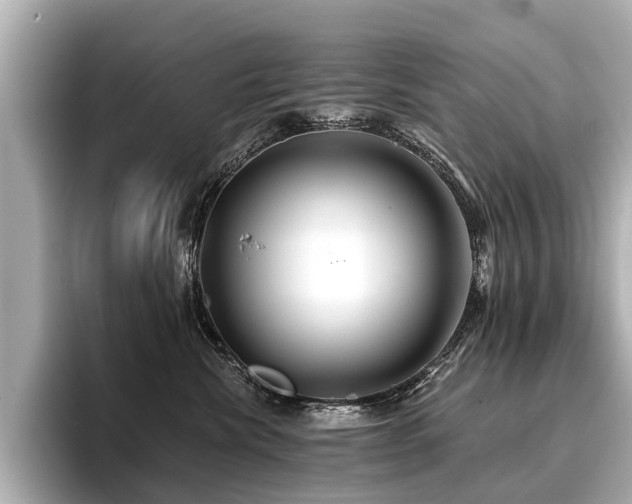 X0000096710476200802051425