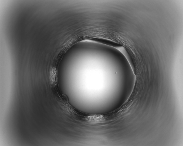 X0000096710480200802051425