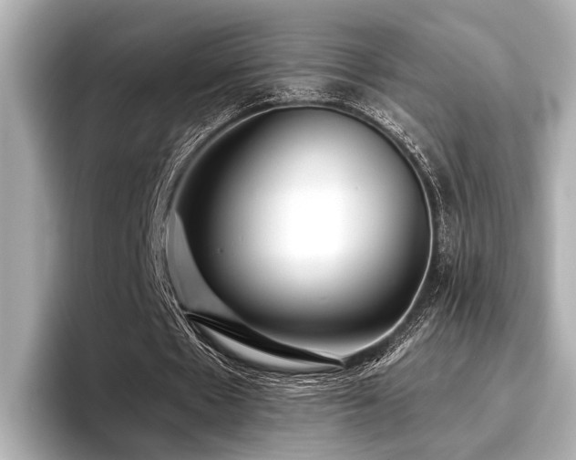 X0000096710481200802051424