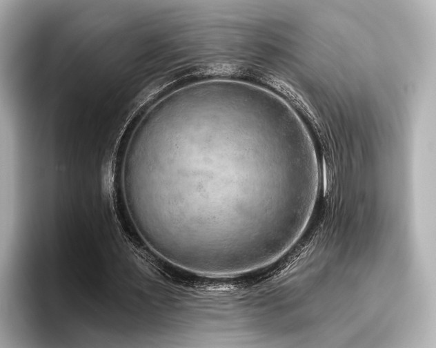 X0000096710483200802051424