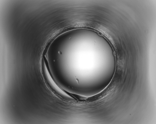 X0000096710485200802051424