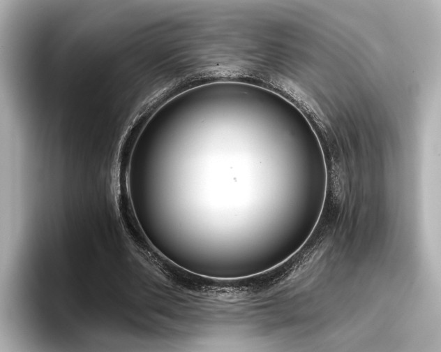 X0000096710486200802051424