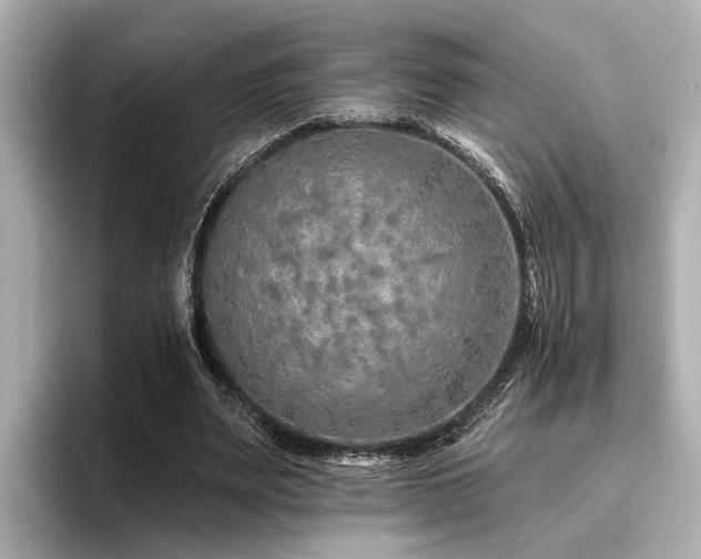 X0000096710487200802051424