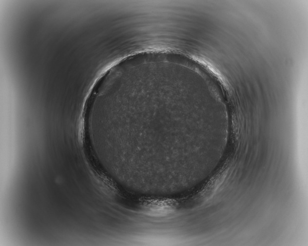 X0000096710488200802051424