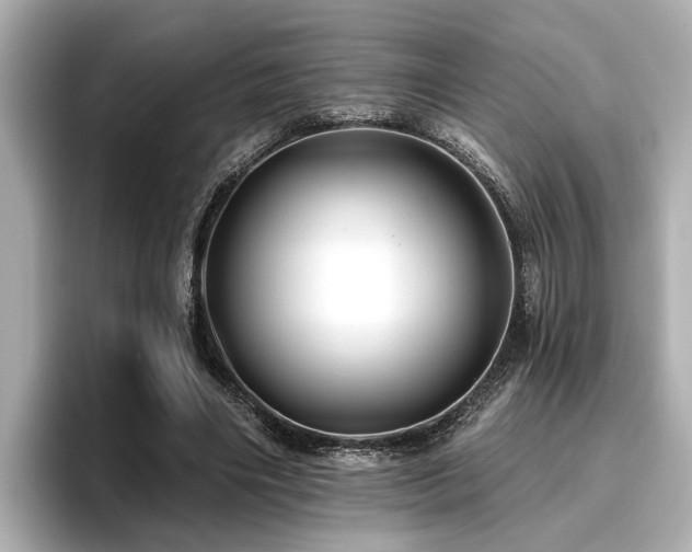 X0000096710490200802051424