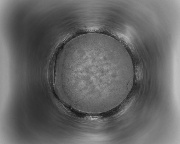 X0000096710495200802051424