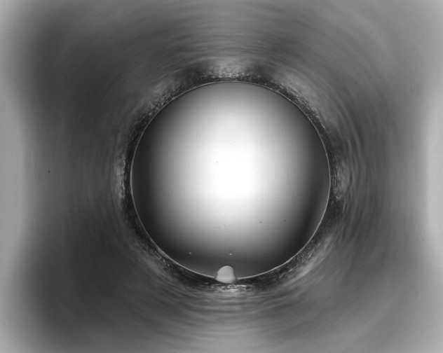 X0000096710497200802051424