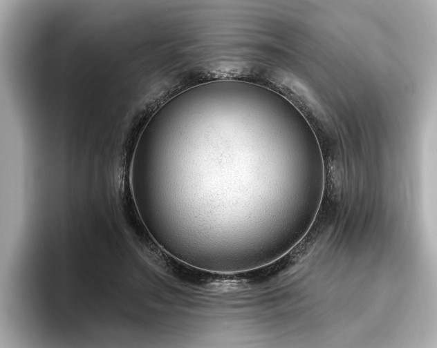 X0000096710499200802051424