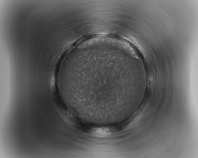 X0000096710500200802051424