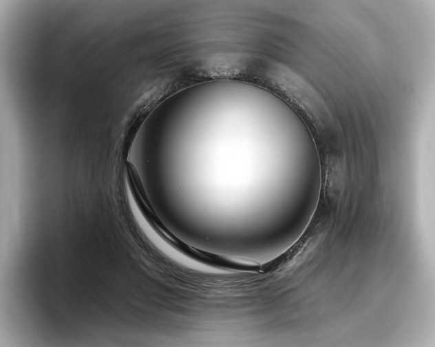 X0000096710501200802051424