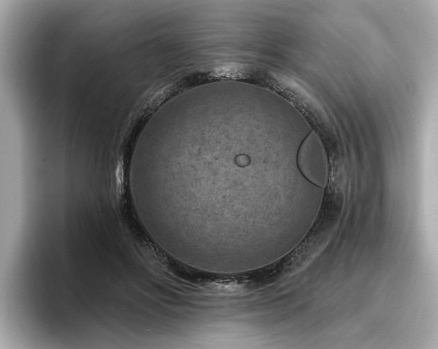 X0000096710502200802051424