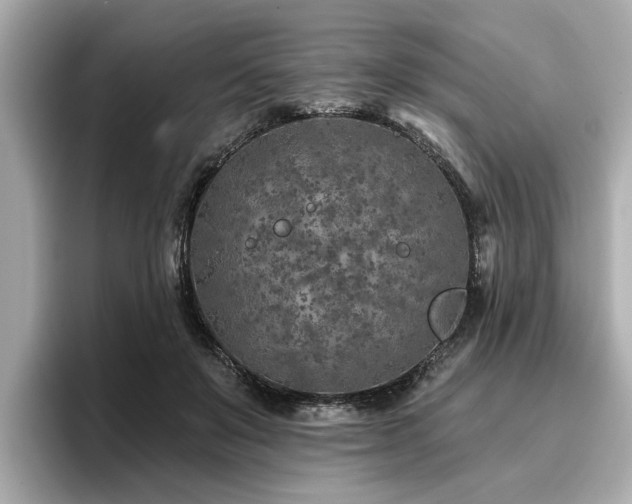 X0000096710503200802051424