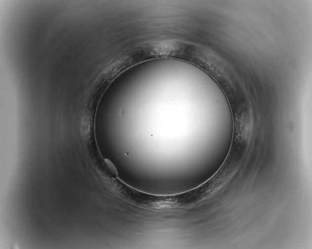 X0000096710505200802051424