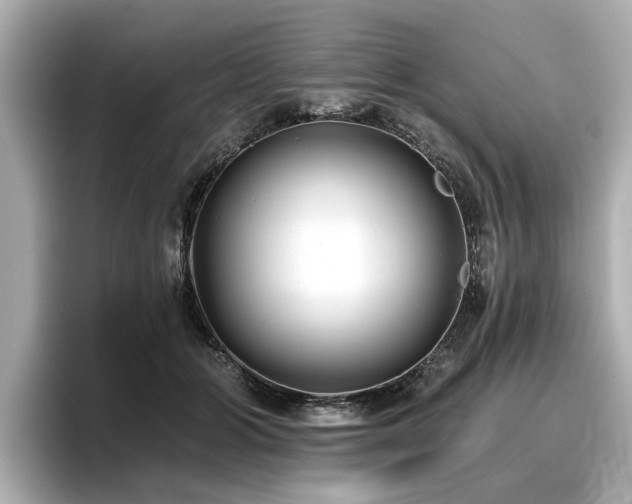 X0000096710510200802051424