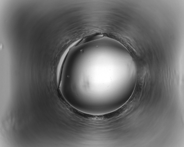 X0000096710511200802051424