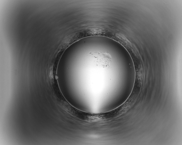 X0000096710516200802051424