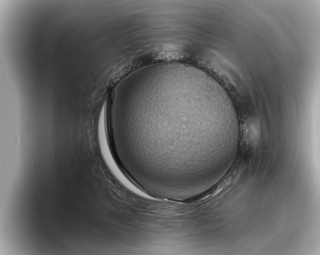 X0000096710517200802051424