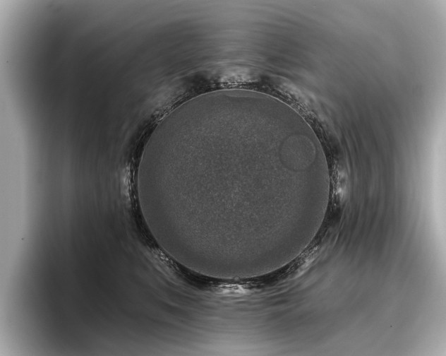 X0000096710519200802051424