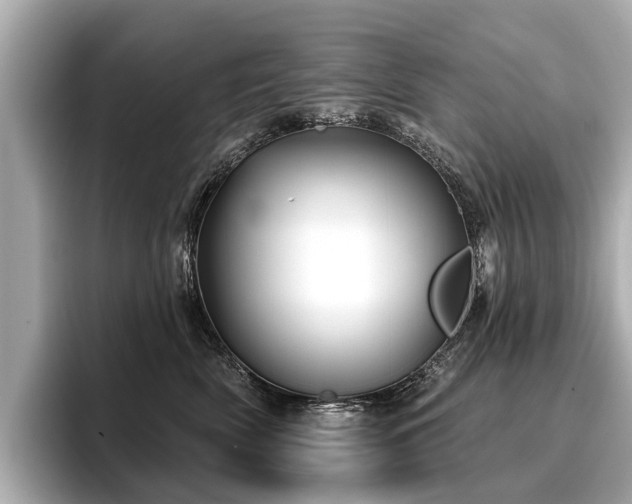 X0000096710522200802051424