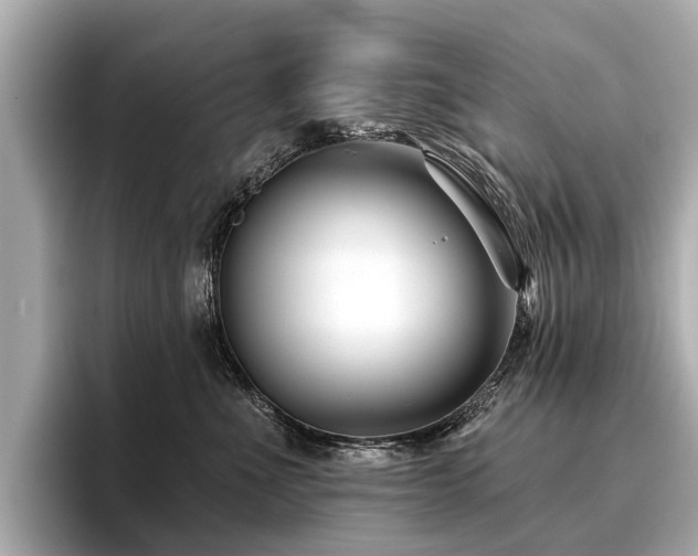 X0000096710523200802051424