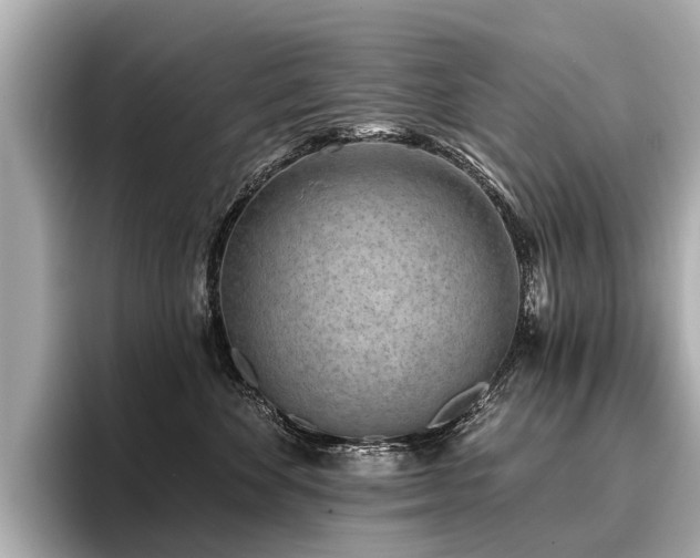 X0000096710524200802051424