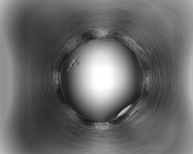 X0000096710525200802051424