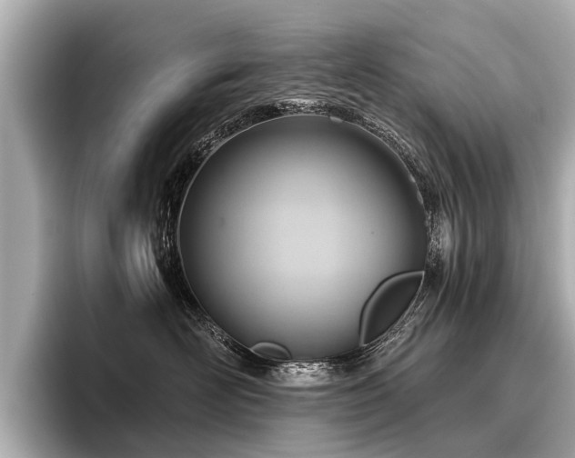 X0000096710526200802051424