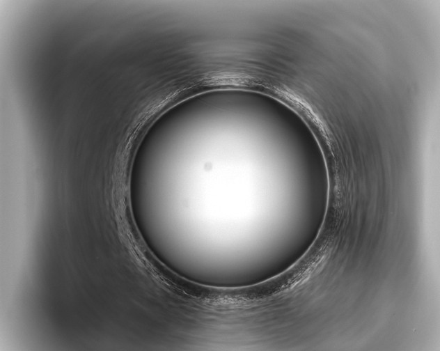 X0000096710529200802051423