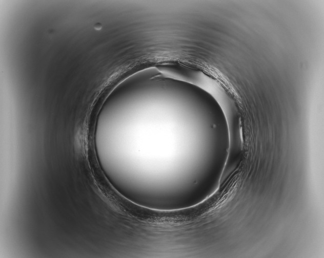 X0000096710530200802051423