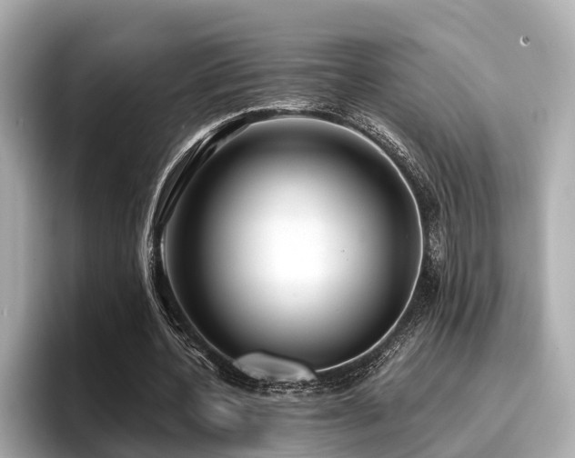 X0000096710532200802051423