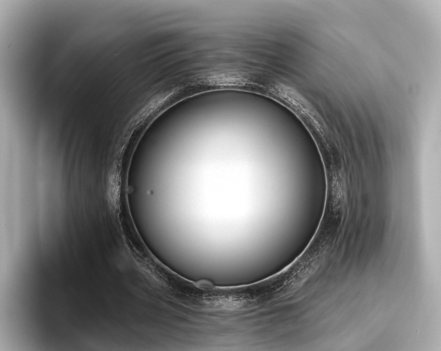 X0000096710533200802051423