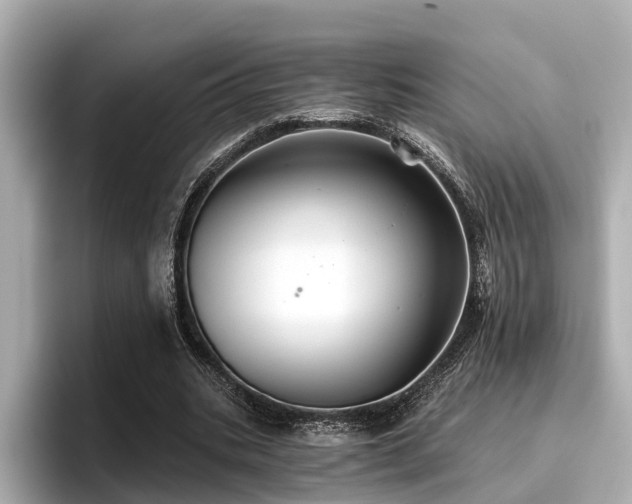 X0000096710535200802051423