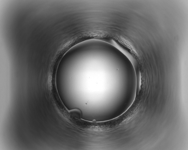 X0000096710538200802051423