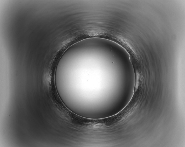 X0000096710539200802051423